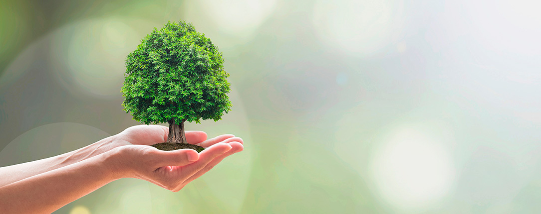 Nuevo Curso de Especialización